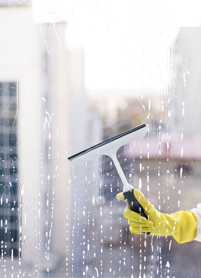 madeira-local-management-0001